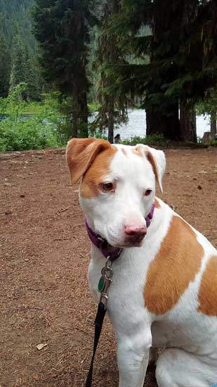 Saydee poses patiently during a family stroll.